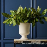 Robert Gordon | Trophy Life | Devon Vase | Vintage White